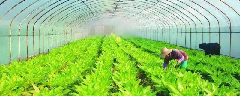 常见的生态循环农业模式