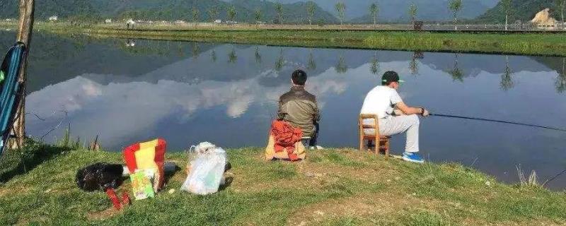 冬季钓鱼用什么饵料最好