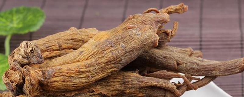 高丽参与西洋参的区别