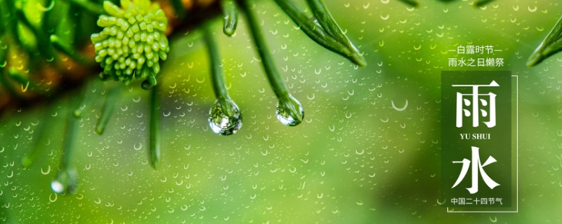 雨水节气是什么意思