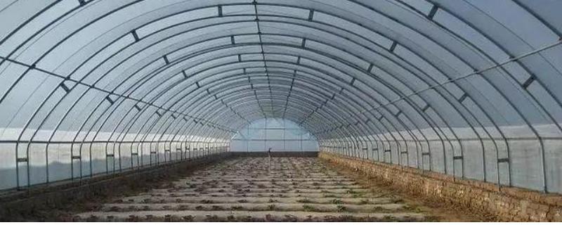 建一个大棚需要多少钱