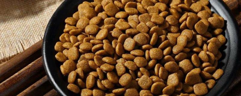 狗粮的种类有哪些