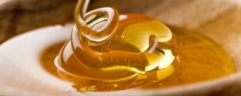 麦卢卡蜂蜜是什么