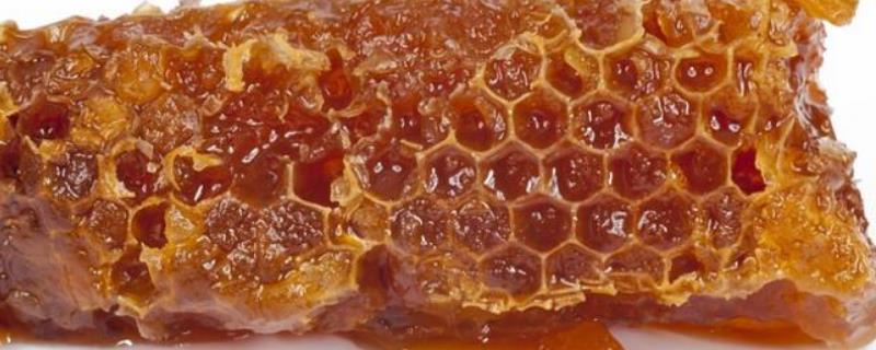 蜂胶在家里怎么提炼