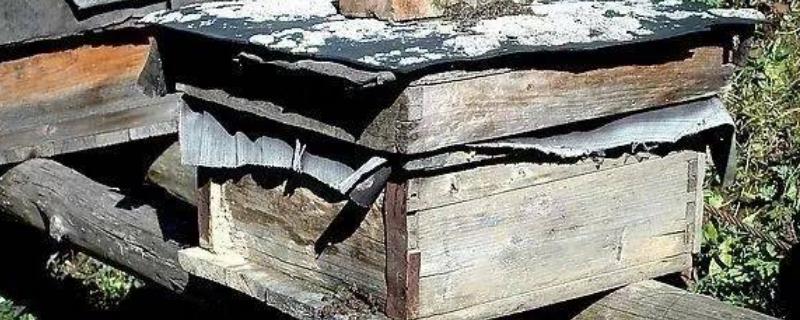 蜂箱为什么要盖覆布