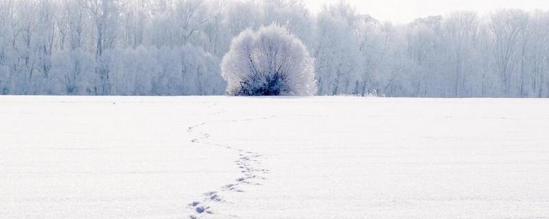 大雪节气是什么意思