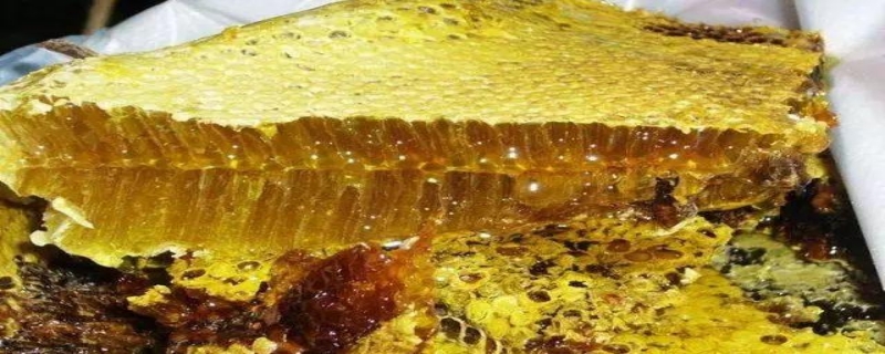 蜂巢蜜和土蜂蜜的区别