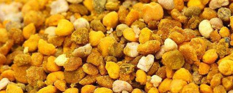 蜂花粉和松花粉有什么区别