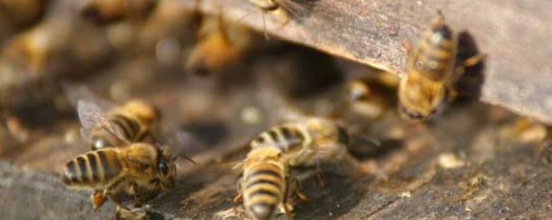 怎样介王容易成功