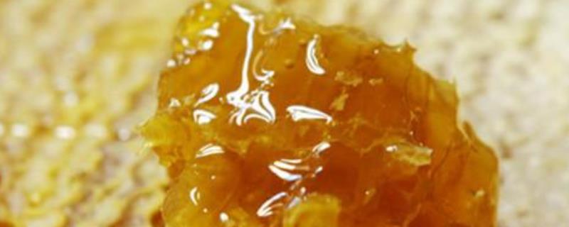 土蜂蜜好还是意蜂蜜好