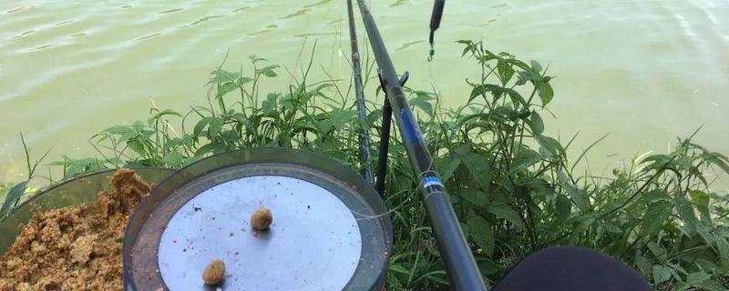 搓饵怎么挂钩不会掉