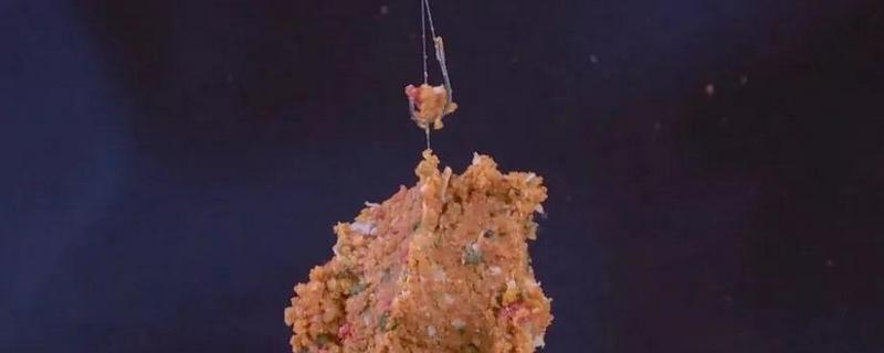 搓饵入水就掉是什么原因