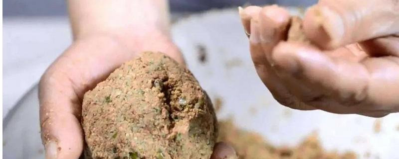 野钓鲤鱼用什么打窝