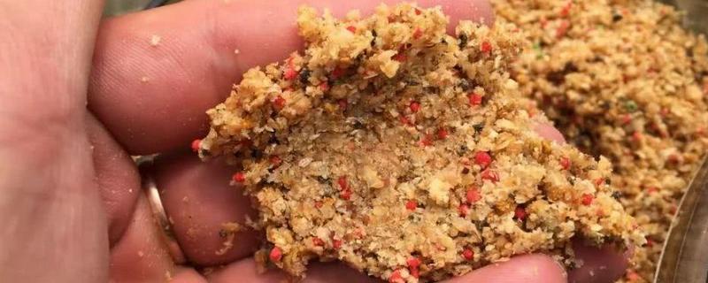 低温钓鲤鱼的饵料配方大全