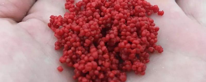 自制钓鱼小药配方大全