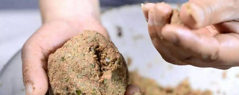 春天钓鲫鱼用什么饵料
