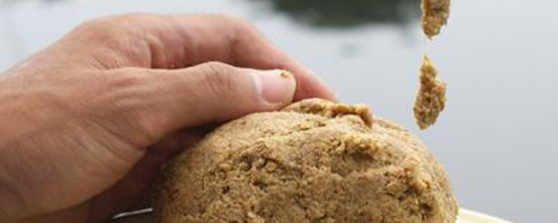 钓鱼饵料种类大全及介绍