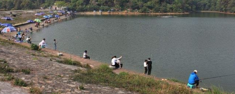 初春在水库里能钓鱼吗