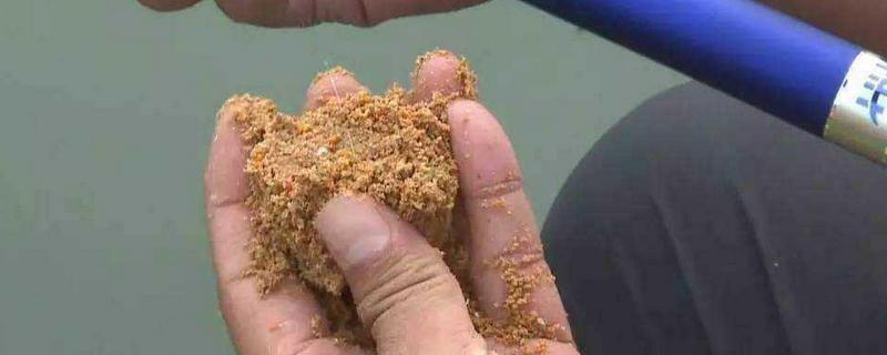 冬季钓鲤鱼用什么打窝最好