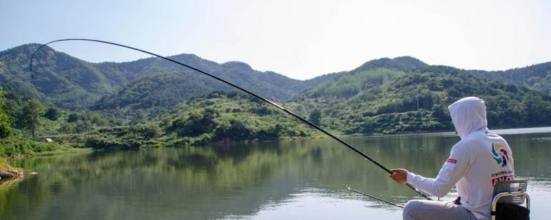 溪流钩适合钓什么鱼