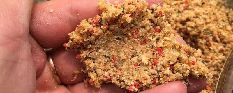夏季钓鲤鱼最好的饵料是什么