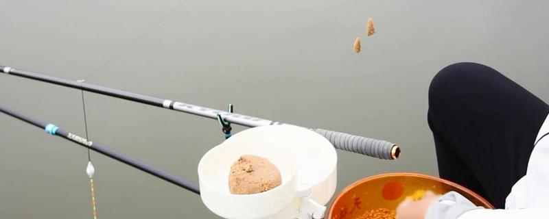 秋季钓鲤鱼用什么味型的饵料