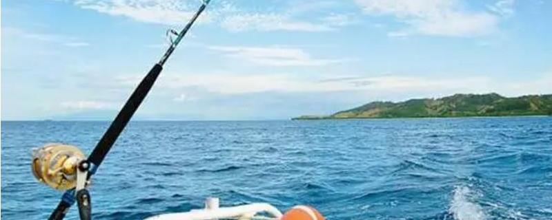 海钓有哪些基本装备