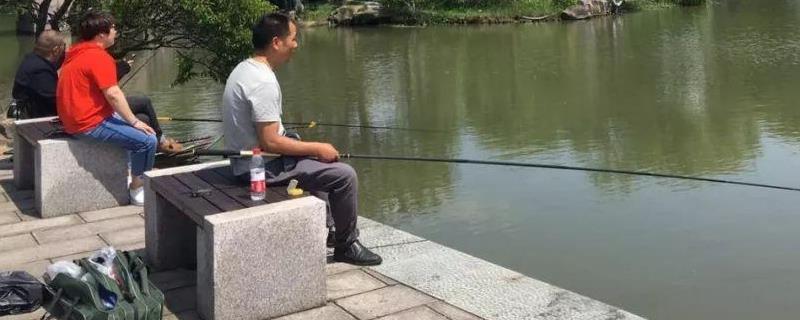 钓鲢鱼用什么钓组
