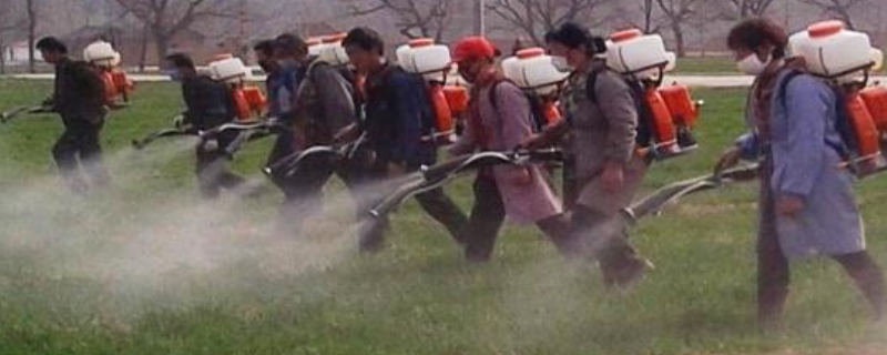 醚磺隆、扑草净、禾草丹稻田除草剂使用技术介绍