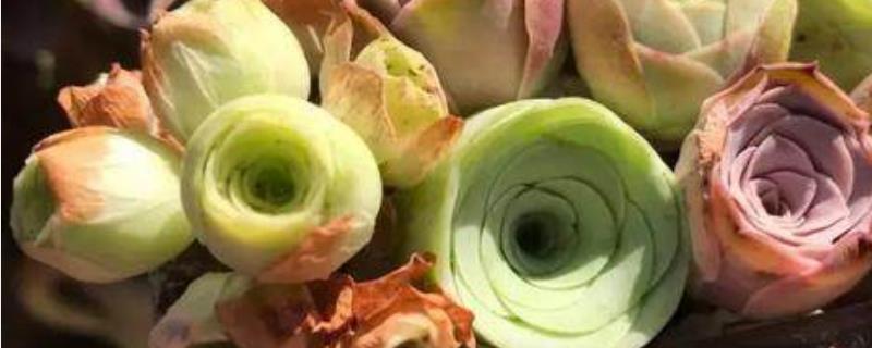 山地玫瑰品种有哪些