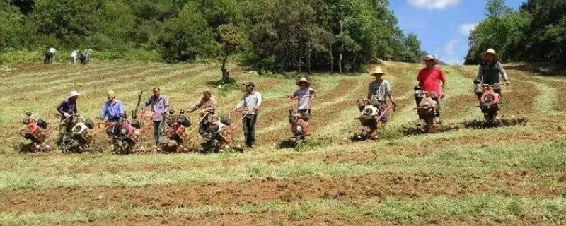 人工种草五大优点