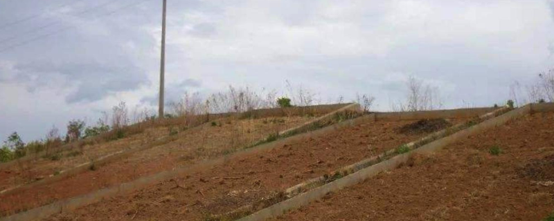 荒漠土分布在我国哪些地区