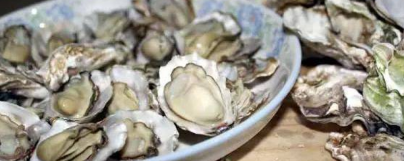 海蛎子可以生吃吗