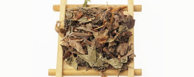 鱼腥草栽培技术