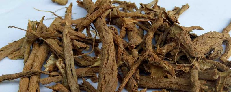 地骨皮别名叫什么