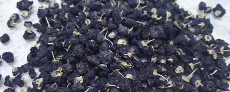 黑枸杞几年开花结果