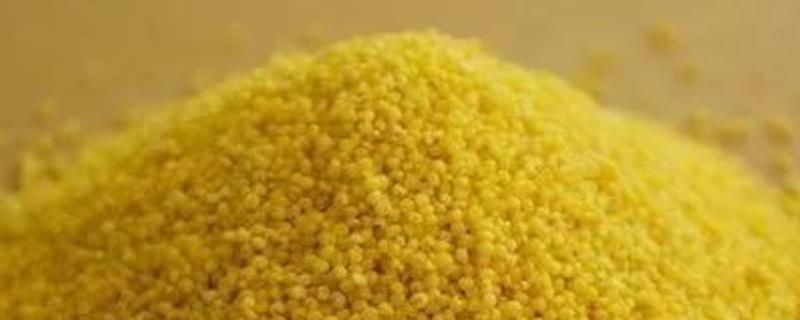 粟米和小米的区别