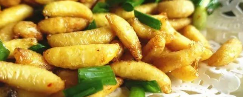 黄蜂蛹可以生吃吗