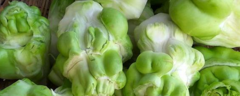 大头菜可以生吃吗