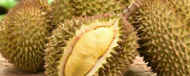 榴莲核可以生吃吗