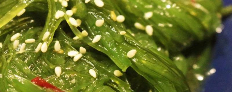 海草可以生吃吗