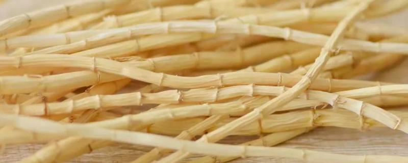 白茅根跟鱼腥草的区别
