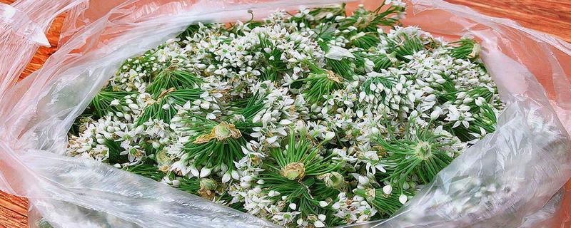 韭菜花可以生吃吗