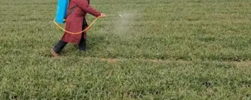 二甲四氯异辛酯除草剂性能