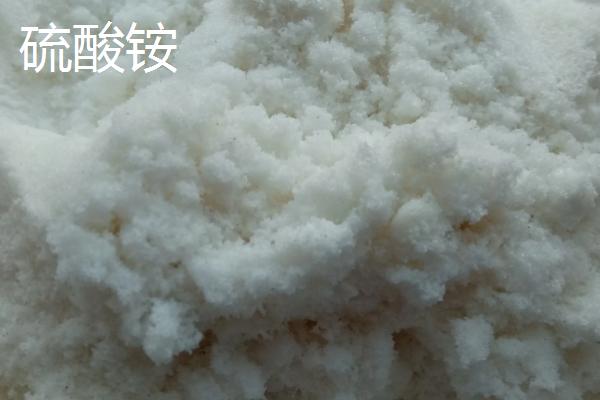 氮肥施用方法及注意事项