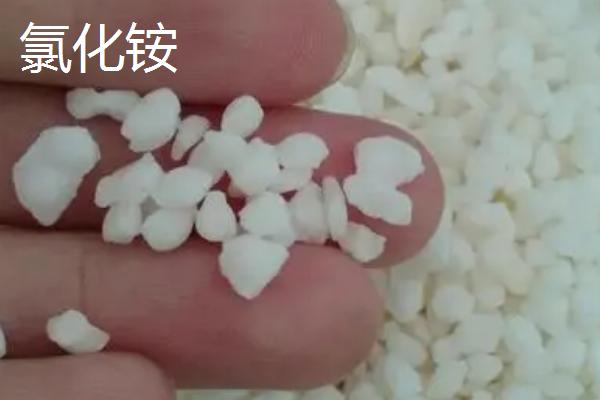 氮肥施用方法及注意事项