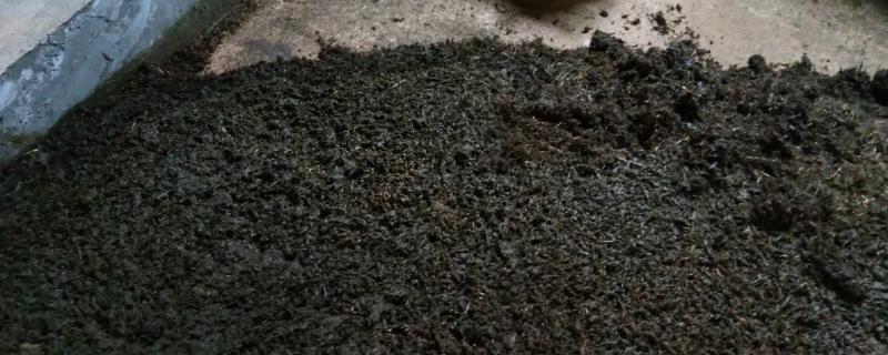 农家肥含钾最高的是