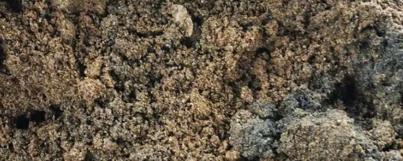 鸡粪的成分含量