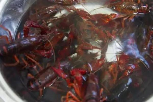 小龙虾清水养几天会死吗