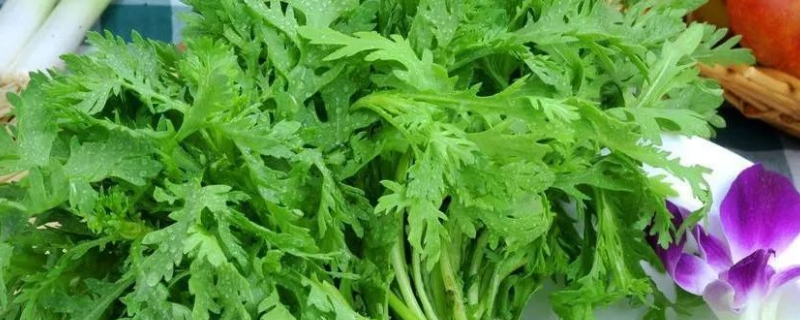 蒿菜是发物吗